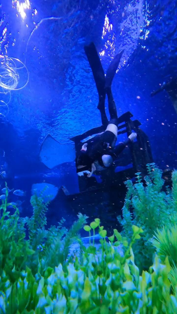 同样是《仙剑》剧女主，刘亦菲、鞠婧祎等5位女星对比